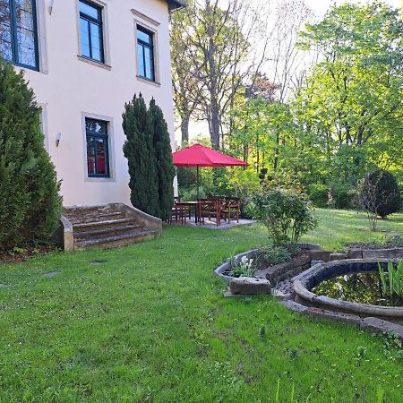 Gaestehaus Villa Seraphinum Dresden Exteriör bild