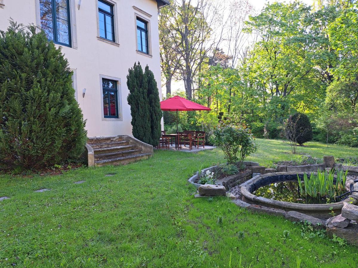 Gaestehaus Villa Seraphinum Dresden Exteriör bild